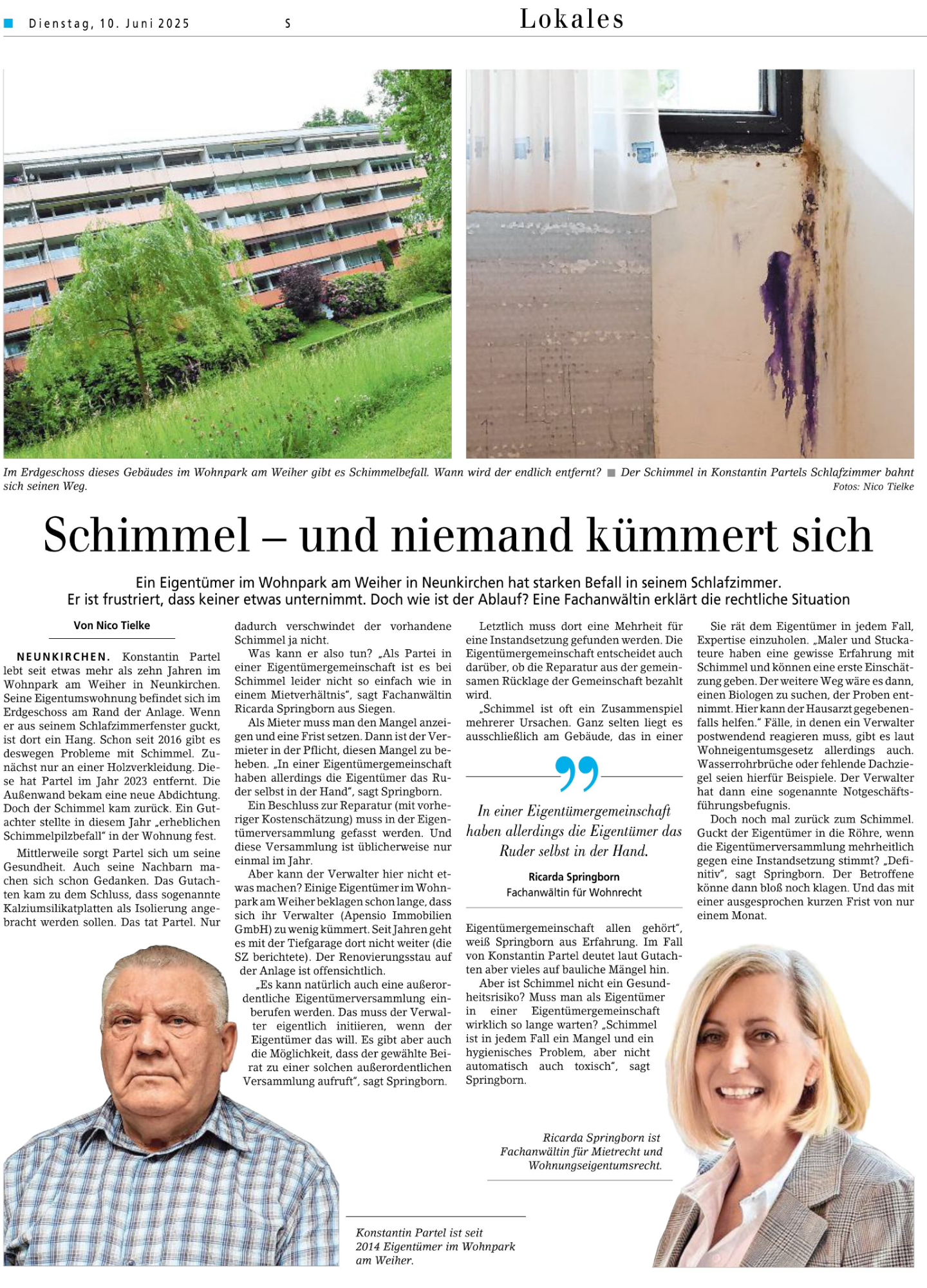 Artikel über Schimmelproblematik mit Bildern von betroffenen Wohnräumen und Interviewpartnern.